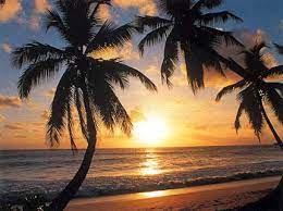 Escale Zanzibar 2h 15 Solo ou duo