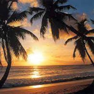 Escale Zanzibar 2h 15 Solo ou duo